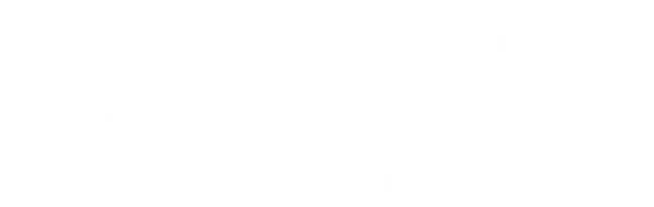 Synty Store
